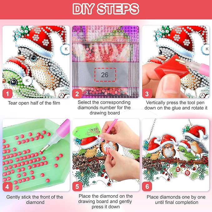 QENSPE DIY Hanging Diamond Painting Pendant Kit Berries,Christmas Birds Diamond Art Ornament Kit Acrylic Board for Window,Easy Crystal Pendant Gem Art for Home Garden Wall Decor,20x20cm