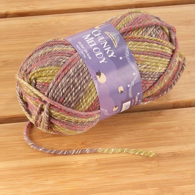 JubileeYarn Chunky Melody Yarn - 100g/Skein Bulky Wool Blend - Splitpea Carrot - 4 Skeins