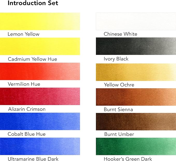 Aquafine Daler Rowney Watercolour Introduction Set-12 x 8 mL Tubes, Assorted