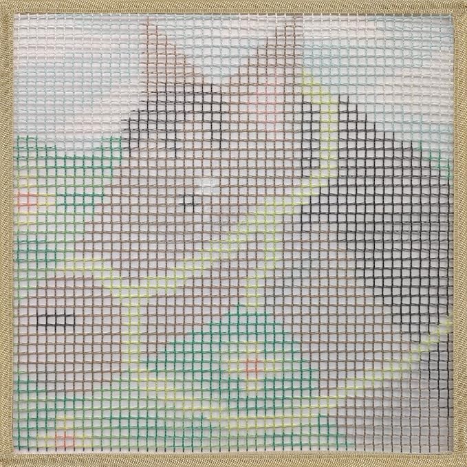 DL-YTG Latch Hook Kits Rug Horse Crochet Yarn Cushion Colour Pre-Printed Canvas Cover Rug Needlework DIY Hook and Latch Kit Christmas Home Decoration 30x30cm/12 X12inch