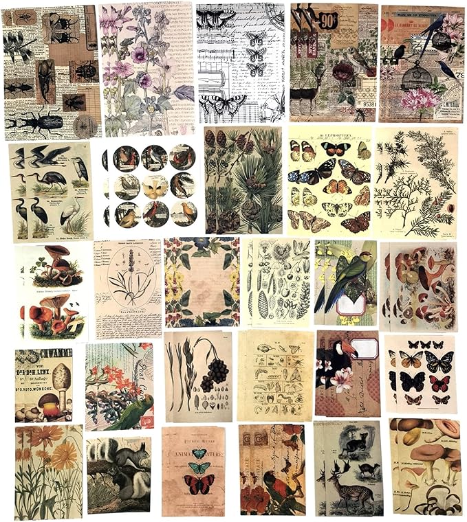 Esweny 200 Pieces Vintage Ephemera Scrapbooking Supplies Pack for Journaling, Decoupage Paper Scrapbook Stickers Kit for Junk Journal Planners Collage Craft Notebooks Album (Forests)
