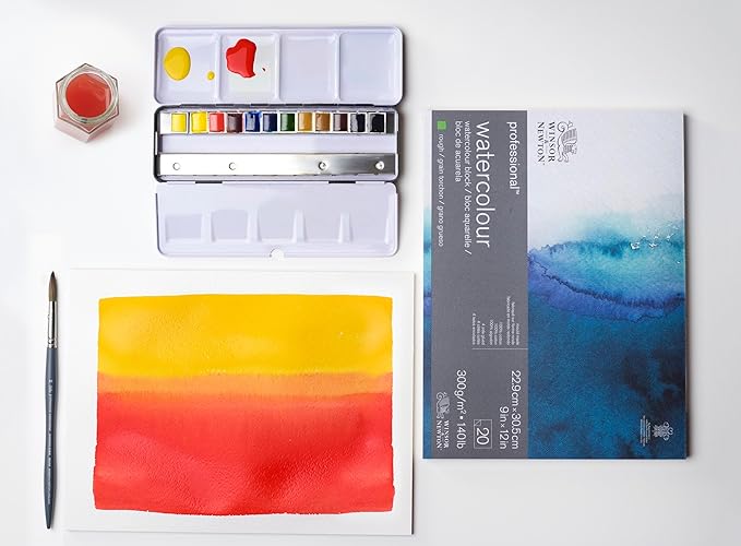 Winsor & Newton Professional Watercolor Paper Block, 9" x 12", Rough