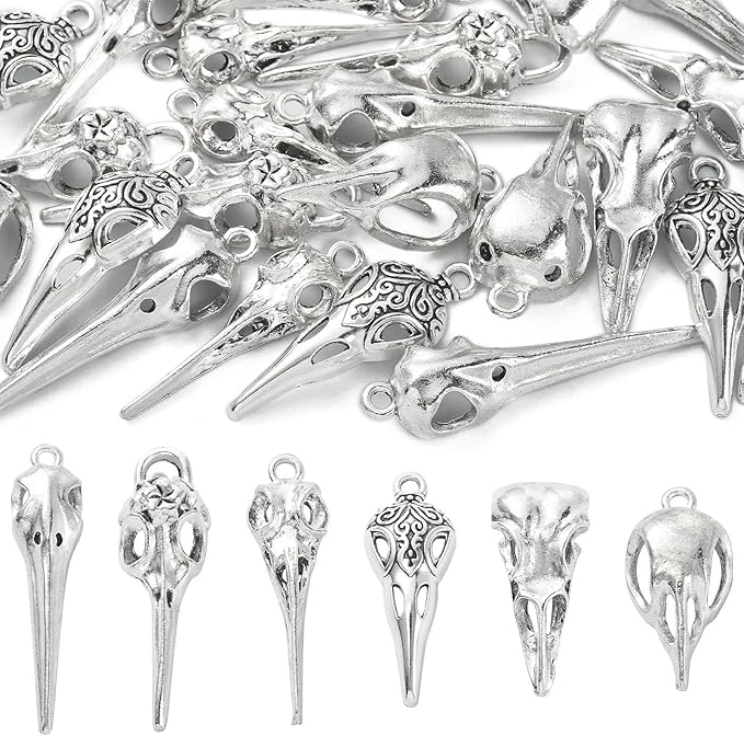 DanLingJewelry 30Pcs 6 Styles Antique Silver Raven Skull Bird Head Skeleton Charms for Halloween Jewelry Making Crafting