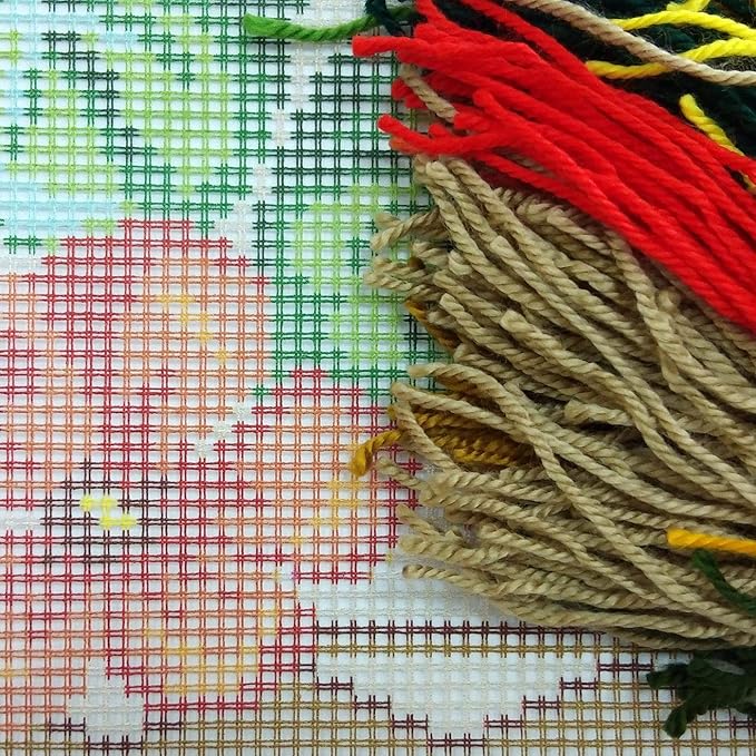 Brvsk Floral Stamped Cross-Stitch Kit for Adults and Beginners — Nasturtium 16″ × 16″ with Clear, Precise Printed Design on Cotton Canvas; Includes 2 Needles, Yarn, and Easy-Read Chart
