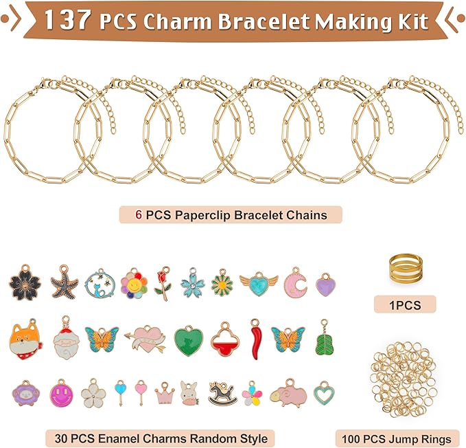 Starry 137PCS Charm Bracelet Making Kit Jewelry Making Kit Charms Including Paperclip Chain Bracelets,Charms,Jump Rings for Jewelry Making