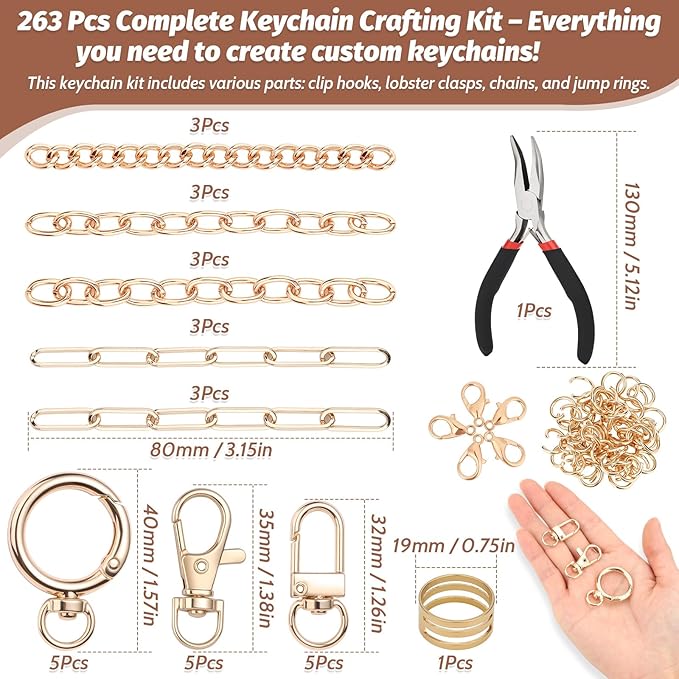 selizo 263Pcs Charms Lip Gloss Keychain Making Kit, DIY Craft Supplies with Charms, Key Chain Hooks, Jump Rings, Lobster Clasps, Chains & Tools, Jewelry Making Kit for Custom Keychains, Bags, Gifts