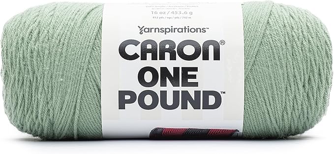 Caron One Pound Succulent Yarn - 2 Pack of 16oz/453.6g - Acrylic - #4 Worsted (Medium) - 812 Yards - Knitting & Crochet