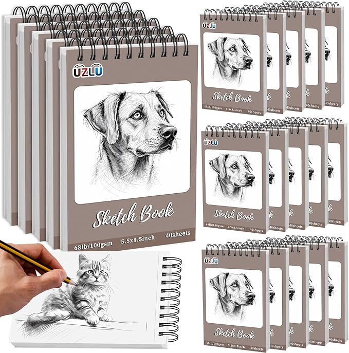 20 Pcs Sketch Books Bulk 5.5 x 8.5 In 800 Sheets Top Spiral Bound Sketch Pad Drawing Paper 40 Sheets Each Acid Free Mixed Media Sketchbook 68lb/100gsm Art Supplies for Beginner Artist