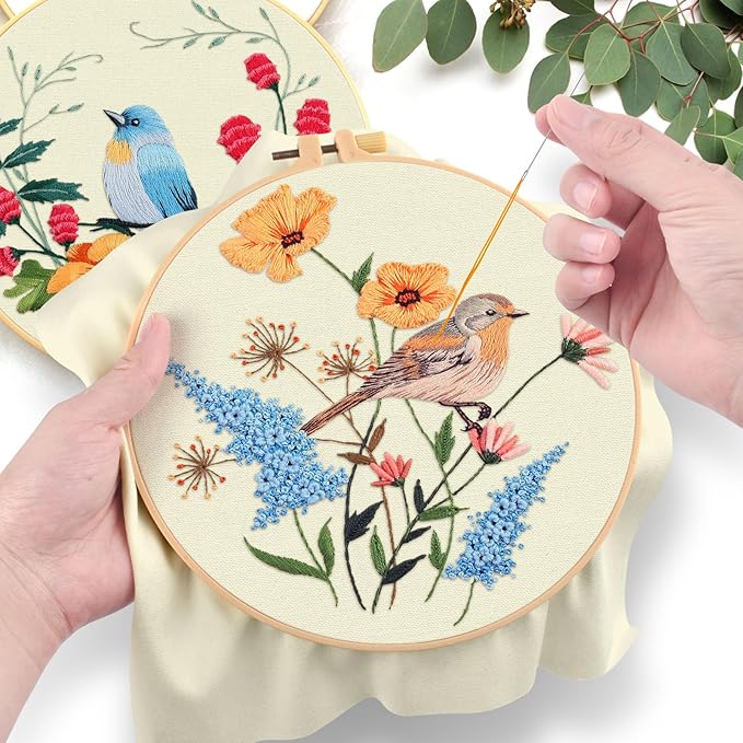 ERKOON 5 Sets Embroidery Kit for Beginners, Hummingbird Cross Stitch Set for Include Embroidery Cloth Hoops Threads for Craft Lover Hand Stitch (Hummingbird and Butterfly)