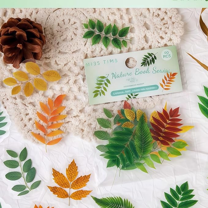 Doukado 240 Pieces Botanical Leaf-Themed Landscape PET Sticker, Waterproof Transparent Natural Leaf Stickers for Scrapbooking, Journaling, Creative Journal Supplies and DIY Crafts