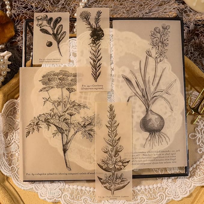 CATaireen Vintage Junk-Journal Mixed Paper Scrapbooking Embellishments Set Retro Journaling Decoupage Stickers Textured Packaging Decorative Cards Tags Kit (Poster B)