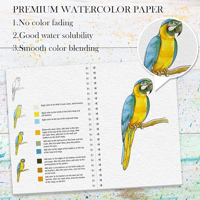 Watercolor Workbook, Watercolor Workbook Paint Book Beginner Friendly with 12 Patterns, Beginner-Friendly Watercolor Workbooks with 12 Paint Colors & Brush, Water Color Paint Set, Valentine's Day Gift