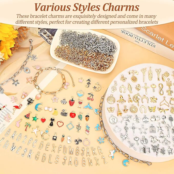 Mckanti 674 Pieces Charm Bracelet Making Kit, Including Paperclip Chain Bracelets, Charms, Jump Rings for DIY Bracelet Making(Gold & Silver)