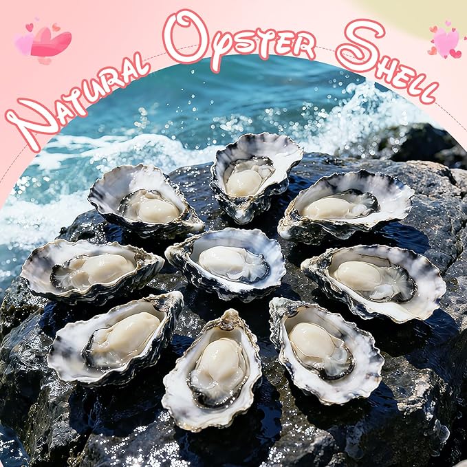 APUDWN 16 Sets Flat Oyster Shell Craft Kit for Her, DIY Art Set for Couples, Family & Class Activities, Beginner Friendly Shell Painting Supplies for Romantic Gifts & Creative Home Decor