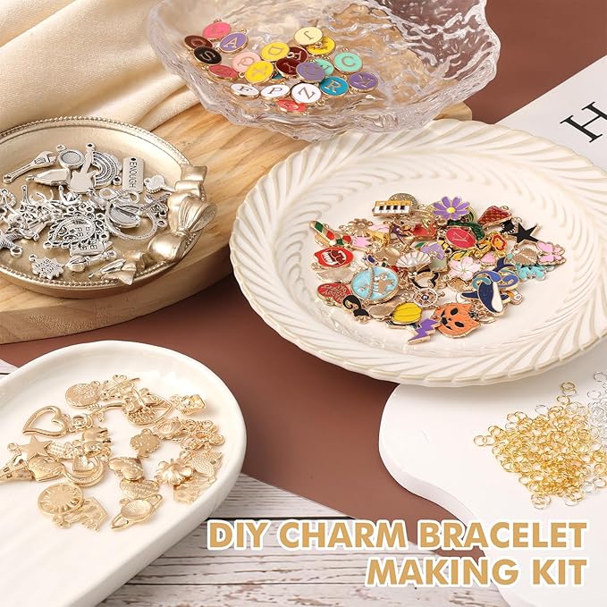 Zplontya Charm Bracelet Making Kit - 571 Pcs Jewelry Supplies with 20Pcs Bracelet Chains, Storage Box & Gift Bags, DIY Bracelet Kit for Jewelry Making, Gold & Silver Charms for Crafting