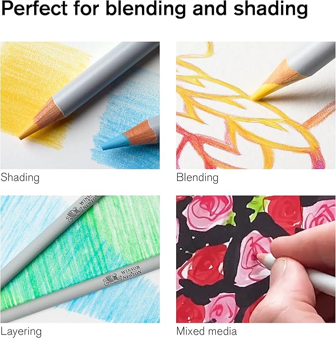 Winsor & Newton Studio Collection Artist Pencils, Color Pencils, Set of 12