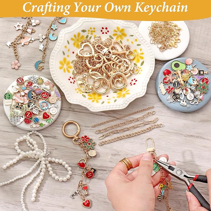 ASTNIC 316PCS Keyring Making Kit & Bag Charm Kit with Charms, Key Ring Hoop, Pliers, DIY Jewellery Making Supplies for Bracelet, Necklace and Jewelry Making, Gifts for Girls, Women, Adults