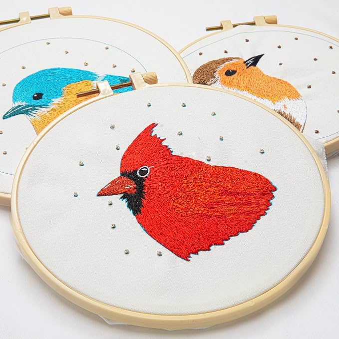 lx lermx embroidery kits for beginners, adult starter cross stitch kit needlepoint complete diy kit with unique patterns, hoop, colorful threads, tools, step by step instructions & video tutorial