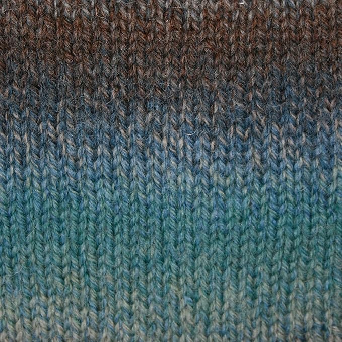 Patons Kroy Socks FX Yarn 2-Pack Bundle with Bella's Crafts Stitch Markers (Cascade Colors)