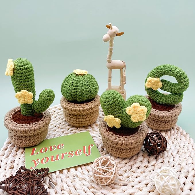 Lily's Lyric Crochet & Craft Kit | Cactus Love| Step-by-Step Video Tutorial for Adults Teenagers | Craft Gift Idea DIY Home Decoration