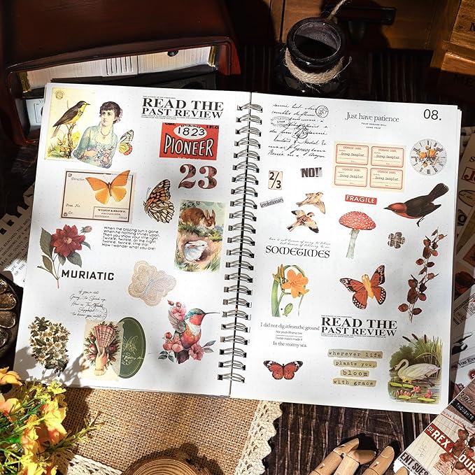RISYPISY Pre-Cut Vintage Sticker Book for Scrapbooking - 622PCS Journaling Dark Academia Washi Stickers, Ephemera for Junk Journal Supplies 50 Sheets Orange Sticker for Journaling
