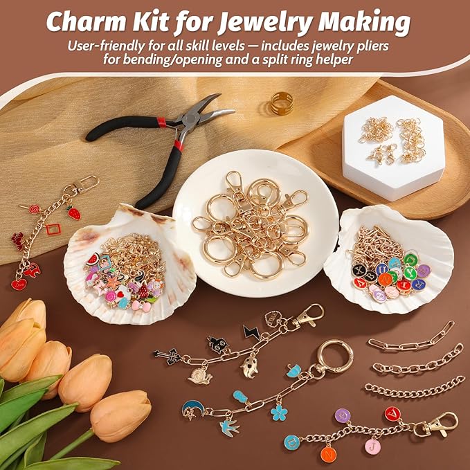 selizo 263Pcs Charms Lip Gloss Keychain Making Kit, DIY Craft Supplies with Charms, Key Chain Hooks, Jump Rings, Lobster Clasps, Chains & Tools, Jewelry Making Kit for Custom Keychains, Bags, Gifts