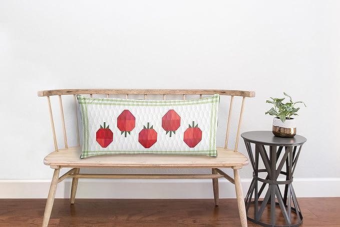 Riley Blake Quilt Project of The Month Kit: Easy DIY Designs for Every Season, for Quilting, Apparel, Crafting, and Home Decor (Bench Pillow - August)