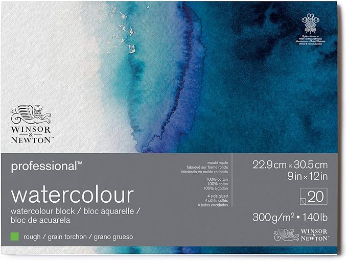 Winsor & Newton Professional Watercolor Paper Block, 9" x 12", Rough