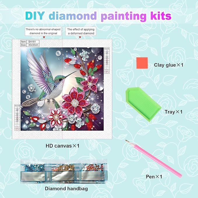 AiYuanzsh Special Shape Diamond Art Kits for Adults, Hummingbird and Flowers 5D Crystal Rhinestone Diamond Art Canvas, DIY Paint by Diamonds Craft Kits, Sparkling Diamond Painting Wall Décor