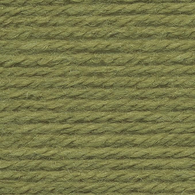 Lion Brand Yarn (1 Skein) Vanna's Choice Yarn, Dusty Green (Pack of 2)