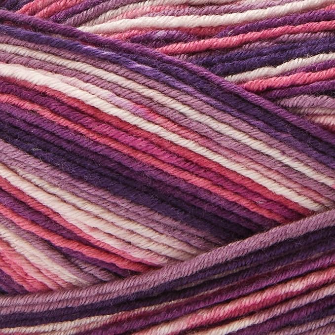 Premier Yarns Fruits, Acrylic Sock Yarn, 2-Pack Bundled with Bella's Crafts Stitch Markers (Plum)