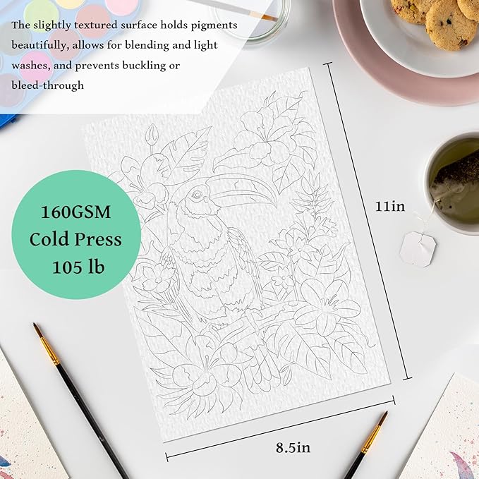 Kalysky 8.5 * 11" Watercolor Workbook,3 Watercolor Coloring Books for Adults,Water Color Book kit for Adults Beginner,160GSM Cold Press Textured Thick Paper