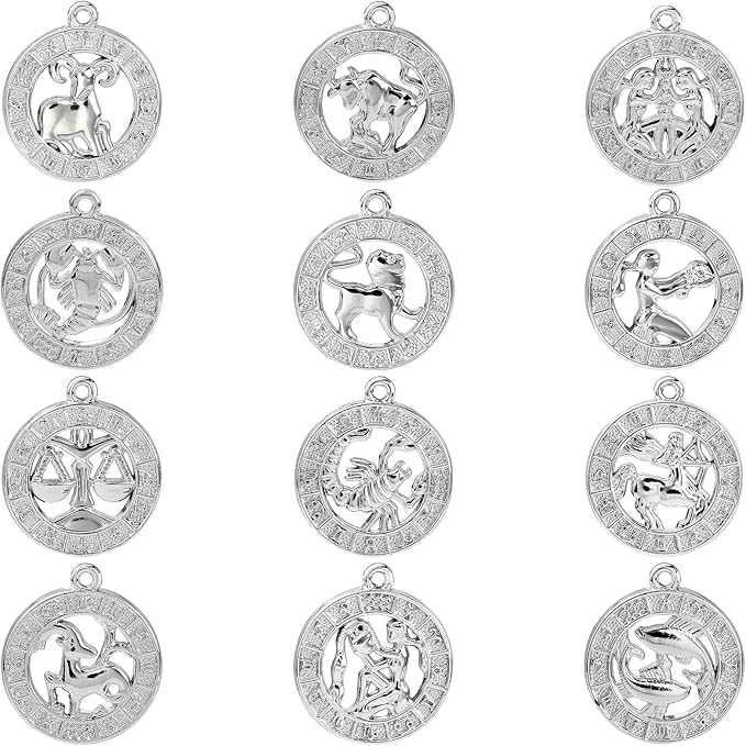 DanLingJewelry 24Pcs Tibetan Zodiac Charms Twelve Constellation Sign Horoscope for Jewelry Making DIY, FIND-CJC0017-13P-CHH