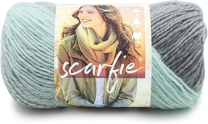 Lion Brand Yarn (1 Skein) Scarfie Bulky Yarn, Mint/Silver