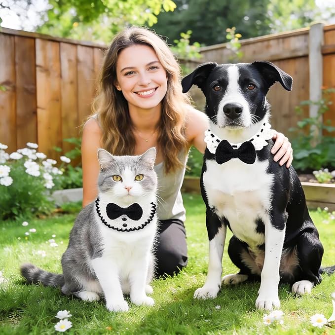 Alvian Crochet Kit for Beginners Pet Adjustable Knitting Cat Collars Hand-Woven Crochet Bib Kitten Necklace Scarf Outfit Costume Ideal Gift for Cat and Dog
