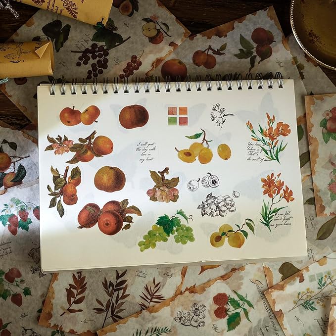 Dizdkizd Nature Botanical Stickers for Journaling, Ephemera Sticker Book, Translucent Washi Sticker for Scrapbooking - 20 Sheets (200 Pieces)