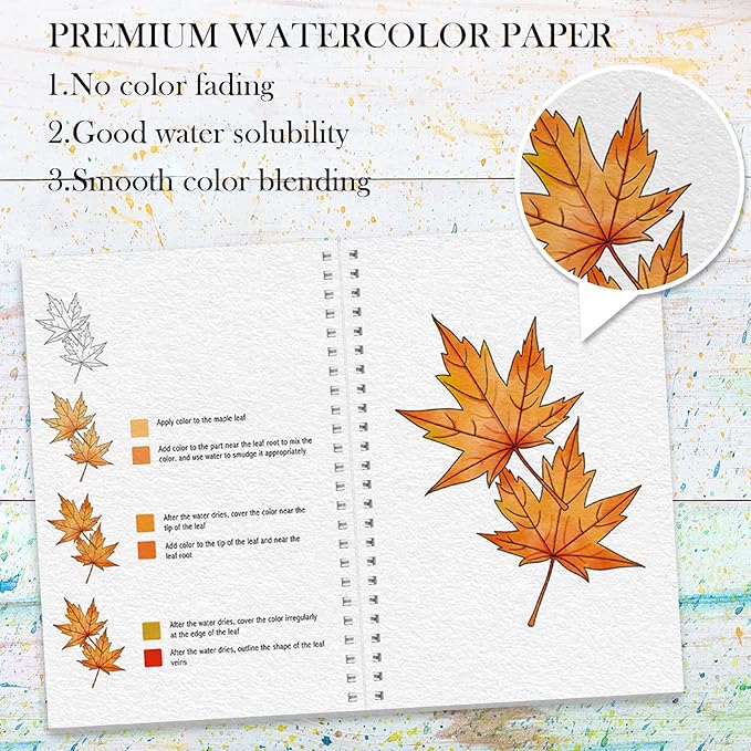 Watercolor Workbook, Watercolor Workbook Paint Book Beginner Friendly with 12 Patterns, Beginner-Friendly Watercolor Workbooks with 12 Paint Colors & Brush, Water Color Paint Set, Valentine's Day Gift