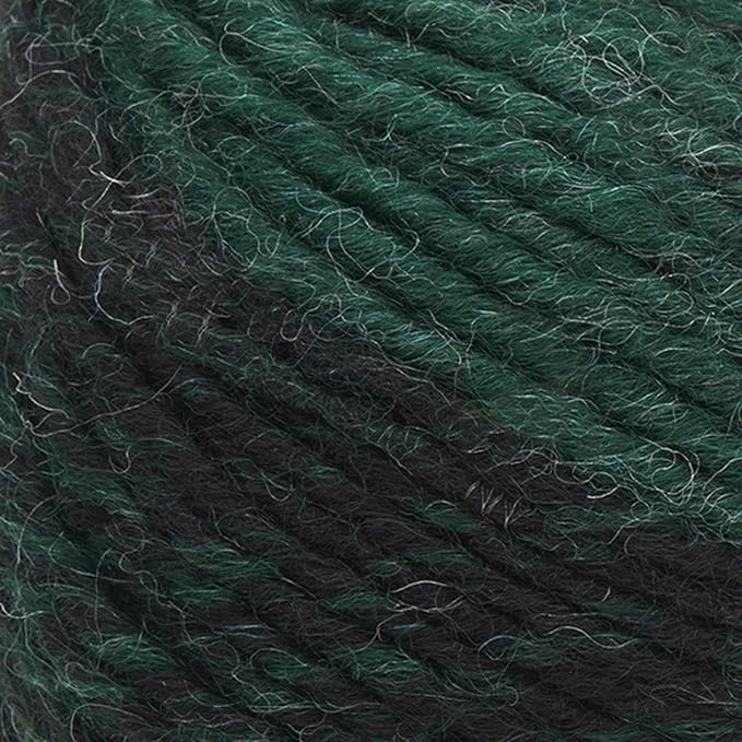 Lion Brand Yarn (1 Skein) Scarfie Bulky Yarn, Forest/Black
