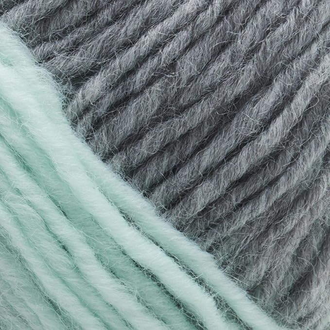 Lion Brand Yarn (1 Skein) Scarfie Bulky Yarn, Mint/Silver
