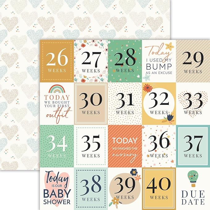Reminisce 9 Months Scrapbook Collection Kit