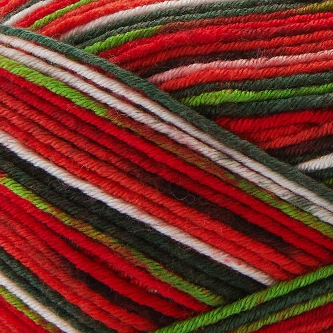 Premier Yarns Fruits Yarn, Acrylic Sock Weight Yarn for Crocheting and Knitting, 235 yds, Blueberry