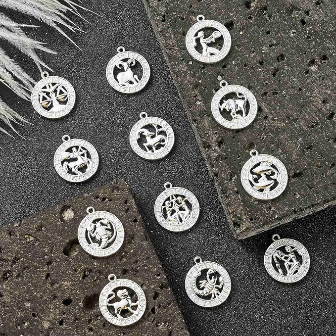 DanLingJewelry 24Pcs Tibetan Zodiac Charms Twelve Constellation Sign Horoscope for Jewelry Making DIY, FIND-CJC0017-13P-CHH