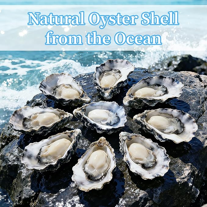 APUDWN 16 Set Natural Oyster Shells for Crafts 4-5 Inch Flat Oyster Shell Kits with Holes Drilled Includes Floral Chinoiserie Decoupage Napkins Glue Paints Twine Brushs for DIY Arts Hanging Ornaments