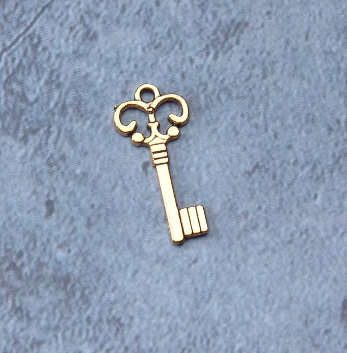 50 Pcs Keys Pendants Beading Supplies Vintage Metal Mini Key Charms for DIY Jewelry Making Kit Handmade Necklace Bracelet Key Ring Chain Earring Party Decoration