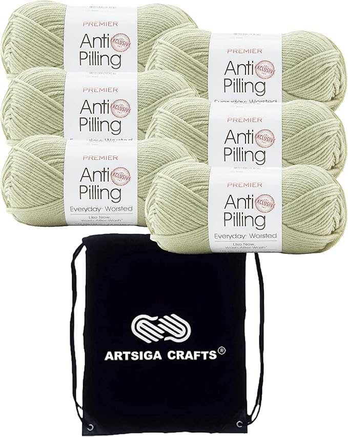 Premier Yarns Everyday Anti-Pilling Solid Meadow DN100-87 (6-Skeins - Same Dye Lot) #4 Worsted Weight Acrylic Yarn for Crocheting and Knitting with Project Bag