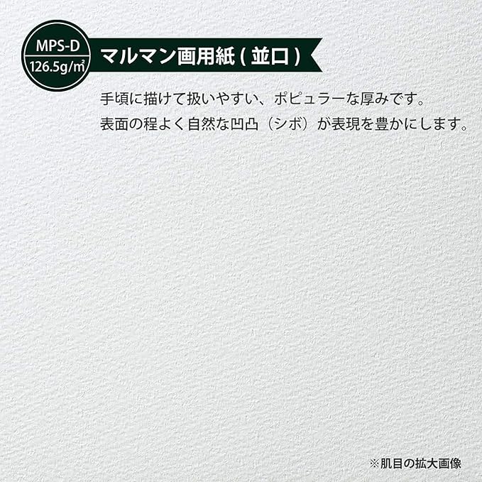 Maruman Sketchbook B4 Design Series, Drawing Paper, Normal Door, 24 Sheets S120X50, 50 Sheets