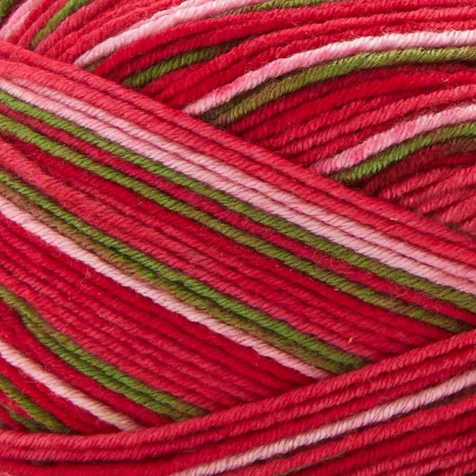 Premier Yarns Fruits, Acrylic Sock Yarn, 2-Pack Bundled with Bella's Crafts Stitch Markers (Guava)