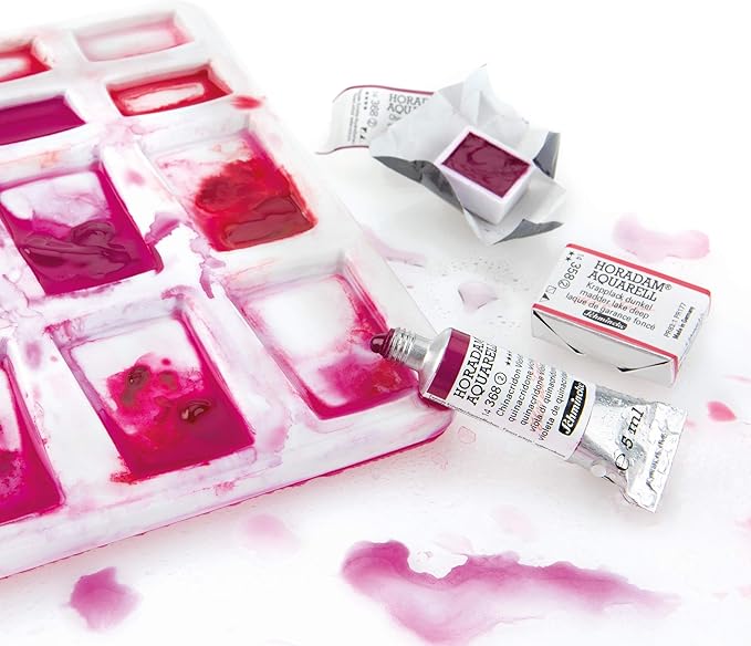 Schmincke - HORADAM AQUARELL Color Box with 24 Finest Watercolors, 74424097, Black Metal Box, Painting Set, Premium Watercolors, 24 x 1/2 Pans