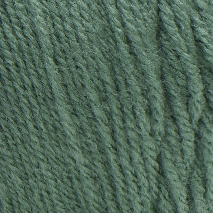 Red Heart Super Saver Yarn - Light Sage
