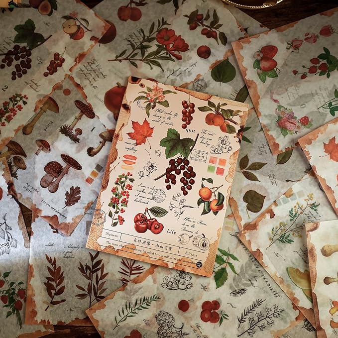 Dizdkizd Nature Botanical Stickers for Journaling, Ephemera Sticker Book, Translucent Washi Sticker for Scrapbooking - 20 Sheets (200 Pieces)